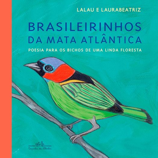 brasileirinhos da mata atlântica brasileirinhos da mata atlântica