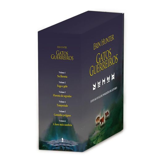 box gatos guerreiros box gatos guerreiros