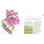 orquídeas - o guia indispensavel de 101 generos de a a z - vol 4