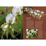 enciclopédia das orquídeas - vol 1