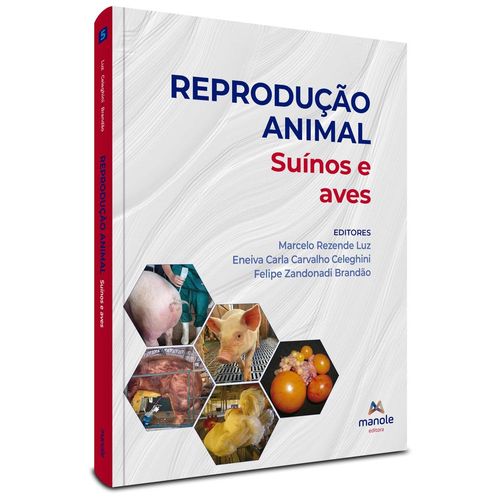 reprodução animal