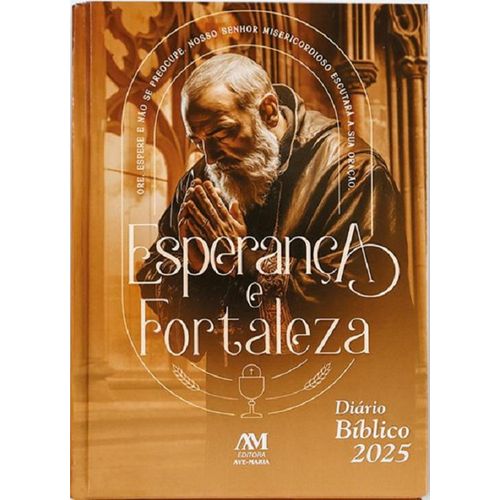 diario biblico 2025 - capa dura - sao padre pio