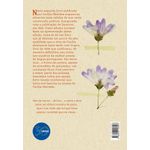 nunca mais... e poemas dos poemas