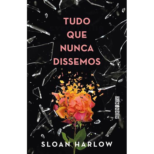 tudo que nunca dissemos tudo que nunca dissemos