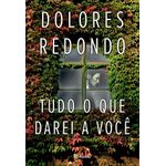 tudo o que darei a você