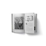 aventuras no bosque 3 - com brinde aventuras no bosque 3 - com brinde