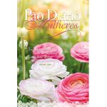 pão diário - mulheres te exaltarei