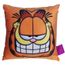 almofada veludo peq garfield sendo filmado
