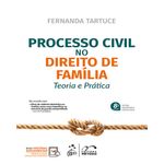 processo civil no direito de família - teoria e prática processo civil no direito de família - teoria e prática