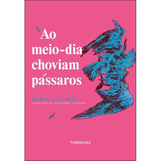 ao meio-dia choviam pássaros ao meio-dia choviam pássaros