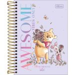 agenda 2025 diária ursinho pooh espiral