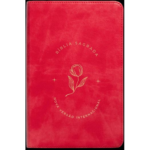 bíblia sagrada - rosado bíblia sagrada - rosado