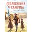 cidadezinha na campina - livro 7