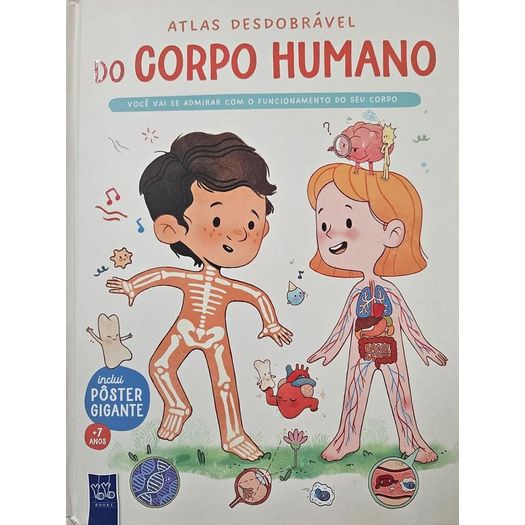 atlas desdobrável do corpo humano atlas desdobrável do corpo humano