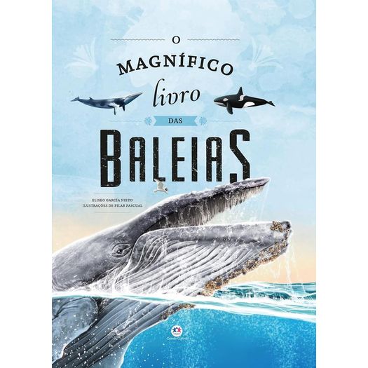 o magnífico livro das baleias o magnífico livro das baleias