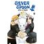 silver spoon 14