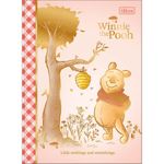 caderno colegial brochura 80 folhas capa dura pooh diversos modelos caderno colegial brochura 80 folhas capa dura pooh diversos modelos