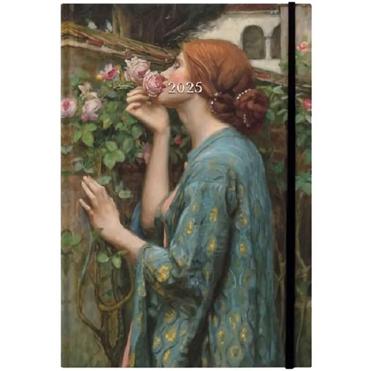 agenda diária 2026 capa dura costurada a alma da rosa agenda diária 2026 capa dura costurada a alma da rosa