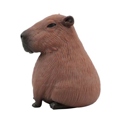 capivara estica divertida