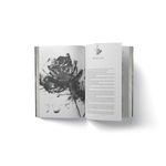 belas sombras com brinde belas sombras com brinde