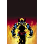 wolverine: duro de matar (marvel essenciais)