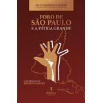 o foro de sao paulo e a patria grande