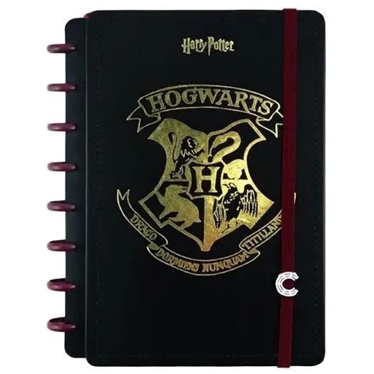 pp069873_1 pp069873_1