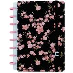 pp066844_1 pp066844_1