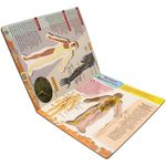 meu incrível livro 3d: corpo humano