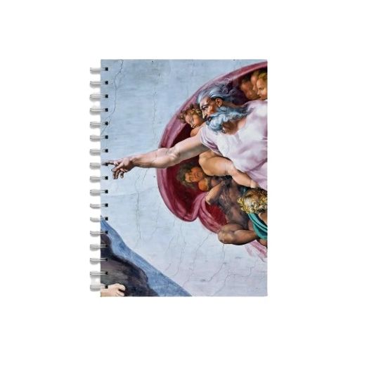 caderno 1x1 200 folhas capa dura a criação de adão diversos modelos 17,5x24cm caderno 1x1 200 folhas capa dura a criação de adão diversos modelos 17,5x24cm