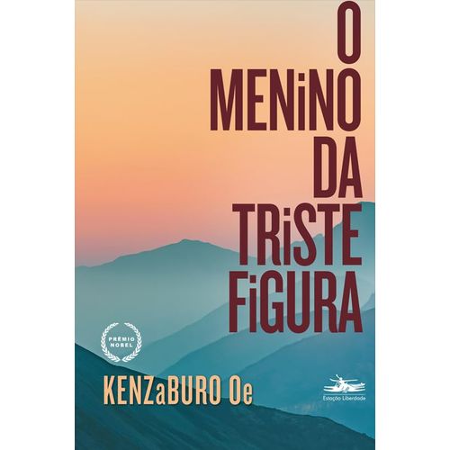 o menino da triste figura