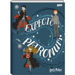 caderno-brochurao-harry-potter-96-folhas caderno-brochurao-harry-potter-96-folhas