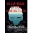 os fantasmas da baía looking glass