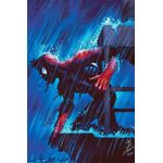 o espetacular homem-aranha 28/72