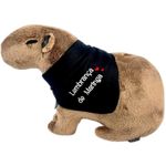 pelúcia capivara lembrança de maringá pelúcia capivara lembrança de maringá