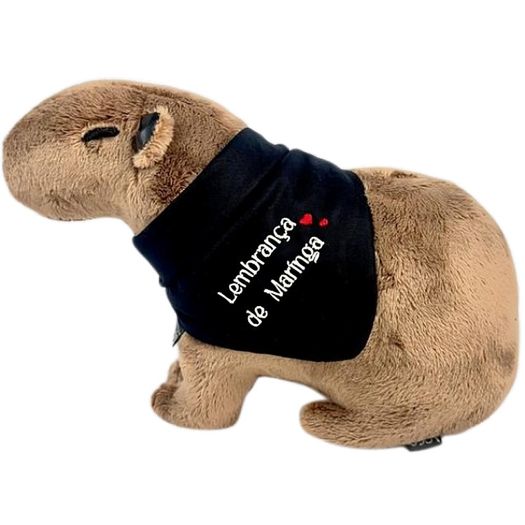 pelúcia capivara lembrança de maringá