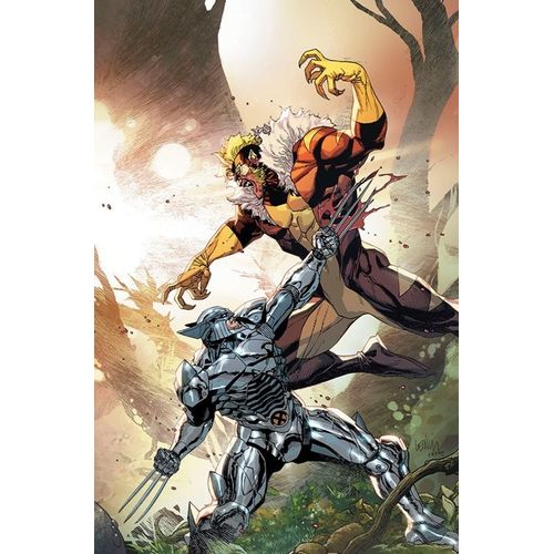 wolverine (2022) 29