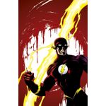 a saga do flash 13