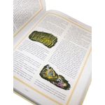 crônicas de nárnia crônicas de nárnia