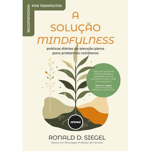 a solução mindfulness