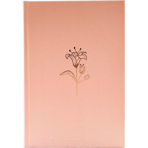 bíblia sagrada ara - rose tan - capa dura