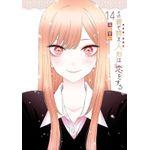 sono bisque doll 14