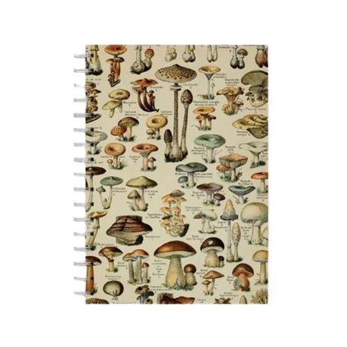 caderno universitário 200 folhas cogumelos