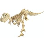 dinossauros dinossauros