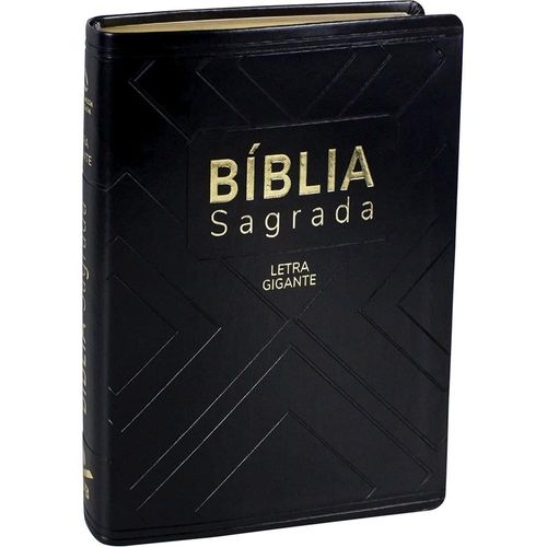 bíblia sagrada naa - letra gigante - capa preta