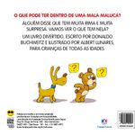 a mala maluca - edição em braille e fonte ampliada