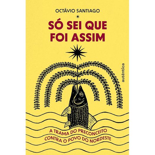 só sei que foi assim só sei que foi assim