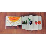 uma lagarta muito comilona - com brinde