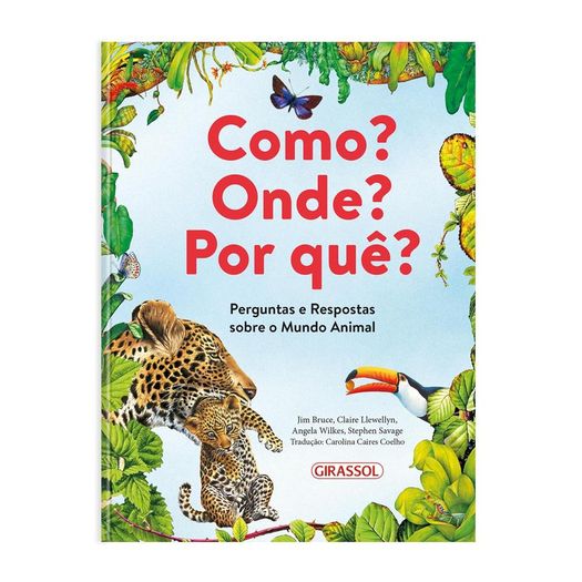 como? onde? por quê? pop como? onde? por quê? pop