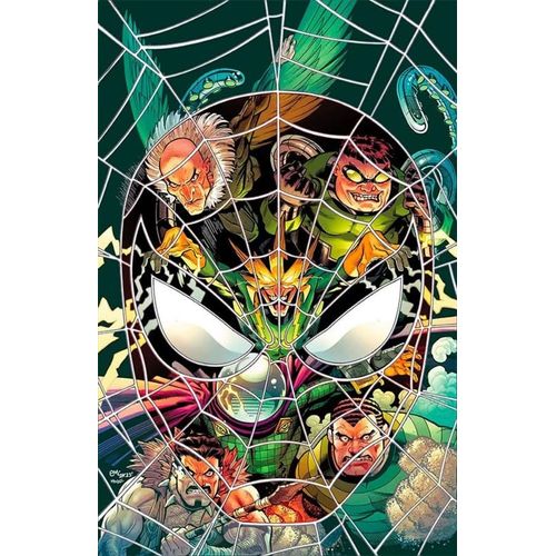 o espetacular homem-aranha 30/74